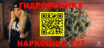 индика Наро-Фоминск