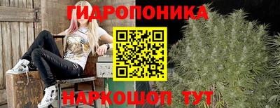 индика Наро-Фоминск