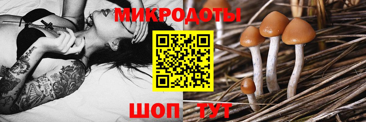 Галлюциногенные грибы MAGIC MUSHROOMS Соль-Илецк