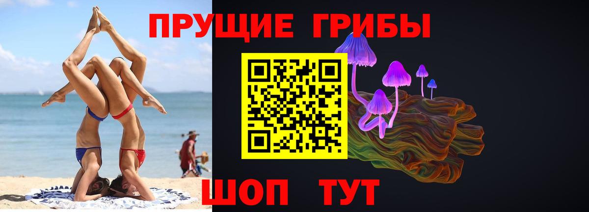 Псилоцибиновые грибы GOLDEN TEACHER  Вход с VPN  Соль-Илецк 